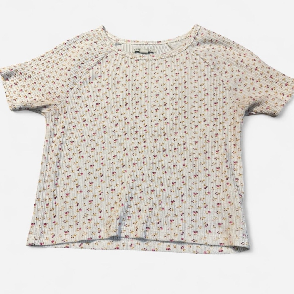 American Eagle Outfitters Floral Baby Tee - Cream and Pink